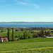 Herrliche Aussicht von Guggeien-Höchst zum Bodensee