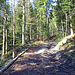 anspruchsvolle Fahrt durch den Steineggwald zur Waldegg hinauf