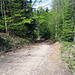 Down Hill, vom Fünfländerblick nach Rorschach
