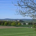 Schloss Alerheim wird erst kurz vor Ende der Runde passiert.