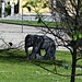 Vor der Wennenmühle steht ein Elephant.