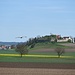 Storchenanflug auf Schloss Alerheim
