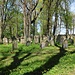 Jüdischer Friedhof Berlichingen