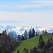 Über grüne Hügel ragen die Innerschweizer Berge empor