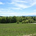Blick bei Baldegg nach Süden.