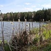 Am idyllischen Tiegelteich.