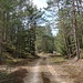 Unterwegs zum Geotop.
