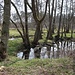 Die herrliche Tirschenreuther Waldnaab mäandriert munter durch Wiesen und Wald.