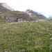 Alpe Laghetto