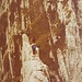 Kletterei am schmalen Südrippli des K III (1977)