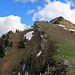 alles dem Grat entlang zum Neuenalpspitz