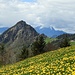 Dank des Pilatus kam die Schlechtwetterfont nicht zu uns, so dass wir den ganzen Tag  über, trotz der Wolken es sonnig und warm hatten.