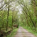 Auf dem Weg zum Dammkrug