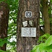 Der E1- Abschnitt des Hannoverschen Wander- und Gebirgsvereins