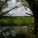 Vom Fuchsberg *