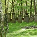 Jüdischer Friedhof Neustadt *