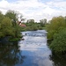 Leine in  Neustadt *
