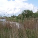 An der Leine *