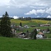 Muriaux. 