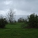 Blick zum Mont Soleil. 