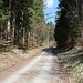 In den Wäldern zwischen Grafrath und Schöngeising kann man auch gut mit dem Rad fahren.