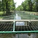 Una delle due vasche dove l’ente Parco alleva specie ittiche autoctone per poi rilasciarle nei fiumi lombardi.