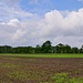 Felder bei Wennebostel