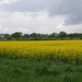 Raps bei Wennebostel