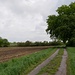 Westlich von Wennebostel *