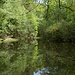 Teich im Wald nördlich von Bissendorf