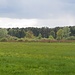 Otternhagener Moor 