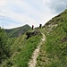 Sul sentiero della val Buseggia che dalla Colma porta a Vararo.