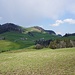 Ausblick zum Köbelisberg bei Schwantleregg