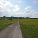 Auf dem Weg zum Hofbergturm