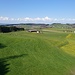 Blick Richtung Höchi vom Hofbergturm