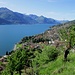 salendo da Genico verso il Monte Crocetta e il Sasso di Musso : panorama sul Lago di Como