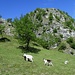 Monti La Corna : panorama