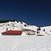 Falkenalpe
