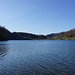 Türlersee