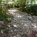 Letto asciutto del Torrente Vellone