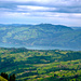 Le Thunersee derrière un patchwork de verdure