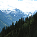 Vue en arrière vers le haut Kiental