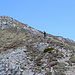 Sentiero delle Capre: sulla cresta avvicinandosi alla cresta Cermenati.