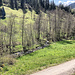 Diesmal Bike & Hike: mit dem Rad auf dem Sträßchen ins Tal, das zum Glück für Motorfahrzeuge gesperrt ist. Die ersten Heuhütten tauchen  auf und immer in Sichtweite zum Sasbach geht es bald auch steiler ins Tal hoch.