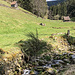 Eingewanderte Bergbauern aus Tirol brachten im 17. Jh. die Heuhütten und das Wissen um Rodung und Bewirtschaftung von steinigen, steilen Tälern mit in die Region um Forbach. Dies wiederum hat den Hintergrund, dass das heutige Baden lange den Habsburgern gehörte und damals den schönen Namen "Vorderösterreich" trug. 
Streckenwiese sind die Ufer des Sasbachs mit Lesesteinen von den Hängen gesichert/verbaut. Oberhalb sichtbar: eine der terrassenförmig angelegten Trockenmauern (ebenfalls aus Lesesteinen), sie schützten die Weideflächen vor Auswaschung. 