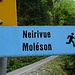 Mein Schlussabstieg folgt der Strecke des Berglaufs "Neirivue - Moléson", 2019 Austragungsort der Schweizer Meisterschaft.