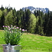 auf der Terrasse der Reuterwannenalpe