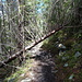 nichts für Mountainbiker