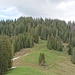 Rosenhöchi ist ein Hügel mit viel Wald.