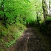 Hohlweg